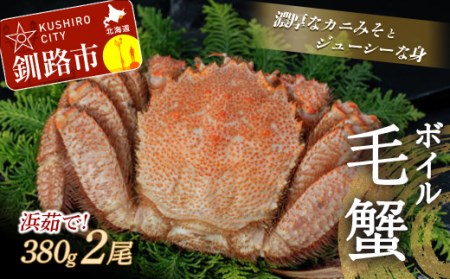 【浜茹で！】ボイル毛ガニ380g（冷凍）×2尾 ふるさと納税 かに 蟹 F4F-5341
