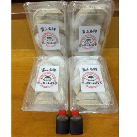 富山名物ミッちゃん餃子　自家製冷凍餃子12個入り4パック_惣菜・加工品 餃子  ぎょうざ ギョウザ_【配送不可地域：離島】【1453894】