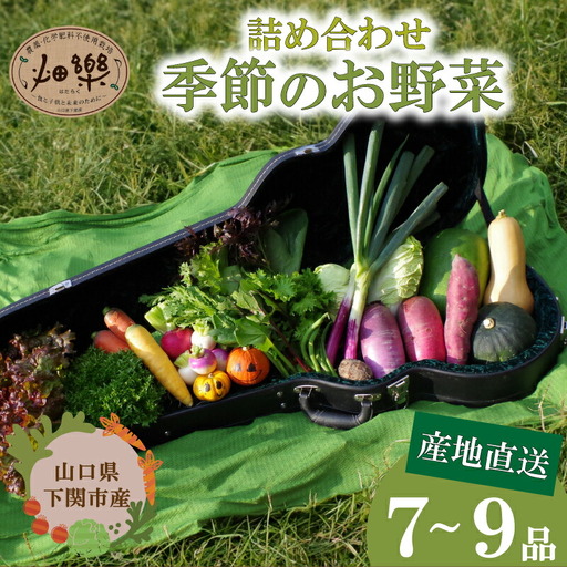旬の野菜 セット 7〜9品 野菜 [2025年5月以降順次発送] 下関 山口