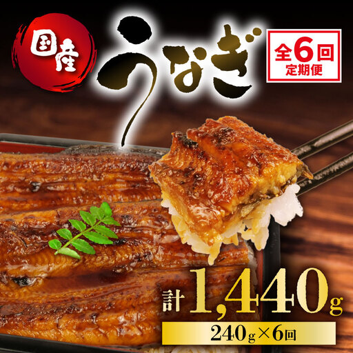 うなぎ 定期便 全6回 国産 蒲焼 120g × 2尾 計1440g