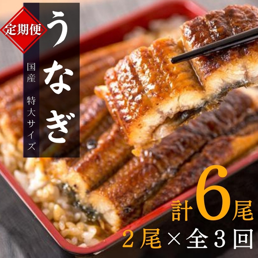 【全3回定期便】大型サイズ ふっくら柔らか 国産うなぎ蒲焼き 2尾×3回 計6尾 約1020g /  うなぎ ウナギ 鰻 国産 蒲焼 蒲焼き たれ 人気 定期便 ふるさと納税【tkb309】