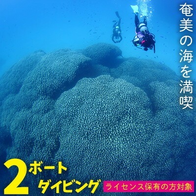 ダイビング 奄美の海を満喫 2ボートダイビング[ライセンス保有の方対象]