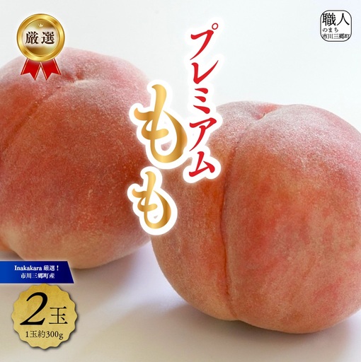 【市川三郷町産】プレミアム 桃2玉　【2027年発送】！Inakakara[5839-2017]