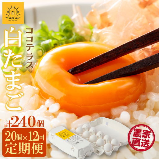 【12ヵ月定期便】ココテラスの朝日（白たまご）15個 + 5個保証（計20個）【JGAP認証】 農家直送 新鮮 卵 タマゴ 白卵 玉子 鶏卵 朝食 夕食 夜食 朝ごはん たまご焼き だし巻き卵 オムレツ 卵ご飯 料理 濃厚 飼料にこだわった 卵かけご飯 米たまご 生卵 大容量 お取り寄せ 愛知県 常滑市