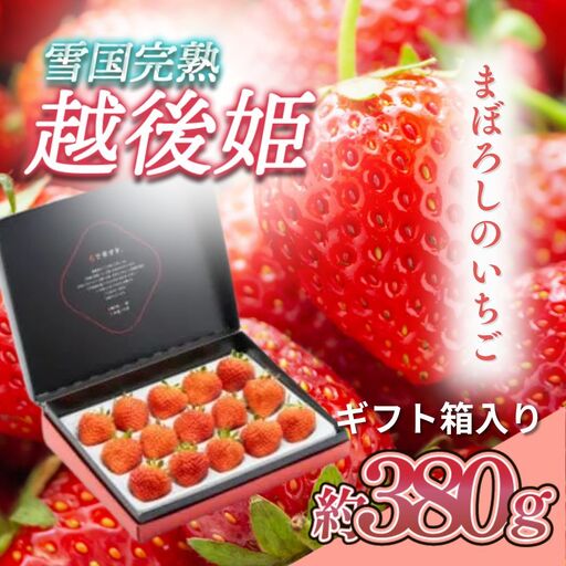 【先行予約】越後姫 いちご シングル約380g 越後姫 苺の花ことば
