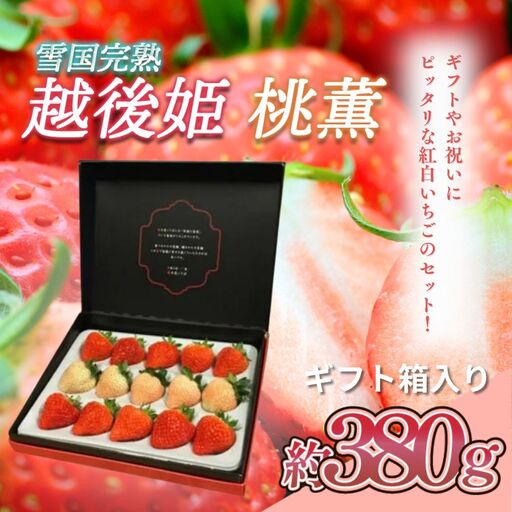 【先行予約】越後姫桃薫 いちご 越後姫 シングル約380g 苺の花ことば