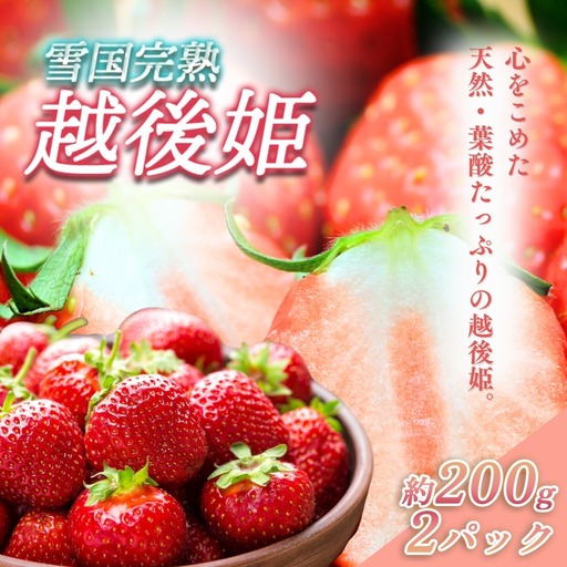 先行予約 いちご 新潟 雪国完熟越後姫 約200g×2P イチゴ 苺 フルーツ 果物 お取り寄せ ギフト 贈り物 上越 苺の花ことば