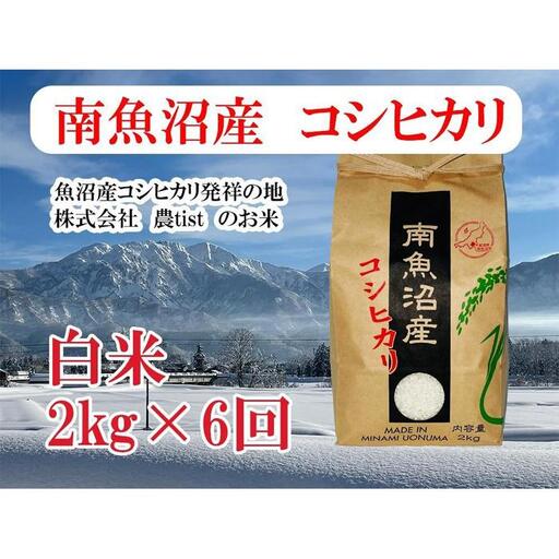 【令和8年 新米】【定期便 南魚沼産】コシヒカリ 白米2kg×6回｜コシヒカリ