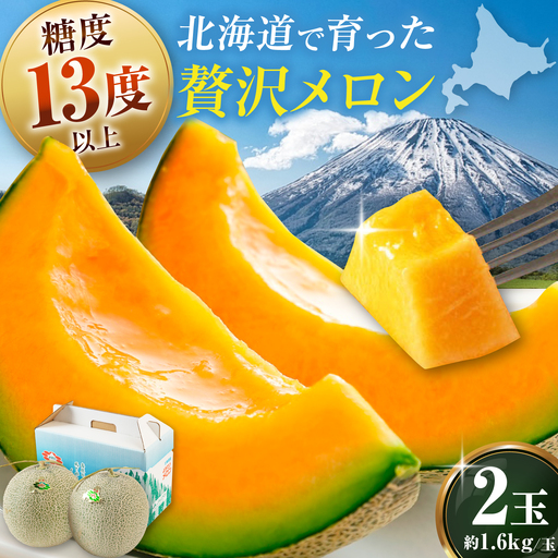 【先行予約】メロン 赤肉2玉 [AJAK004] メロン 果物 フルーツ 夏 北海道