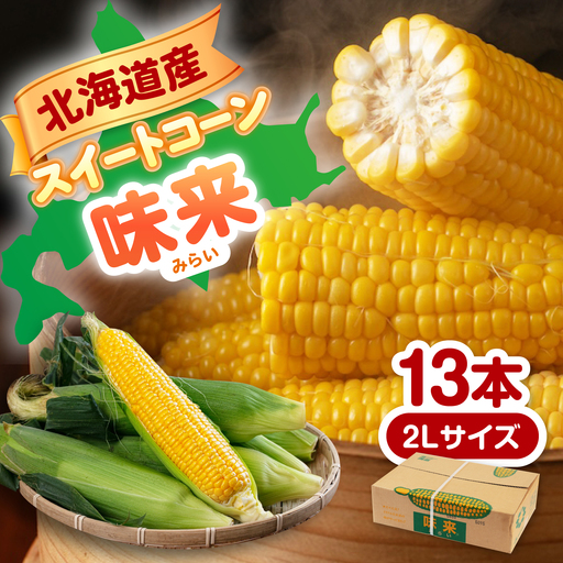 【先行予約】とうもろこし 味来 13本 [AJAK006] とうもろこし