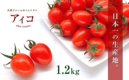『大家ファーム』の ミニトマト アイコ 1.2kg 熊本県玉名 | トマト ミニトマト 野菜 やさい アイコ 熊本県 玉名市