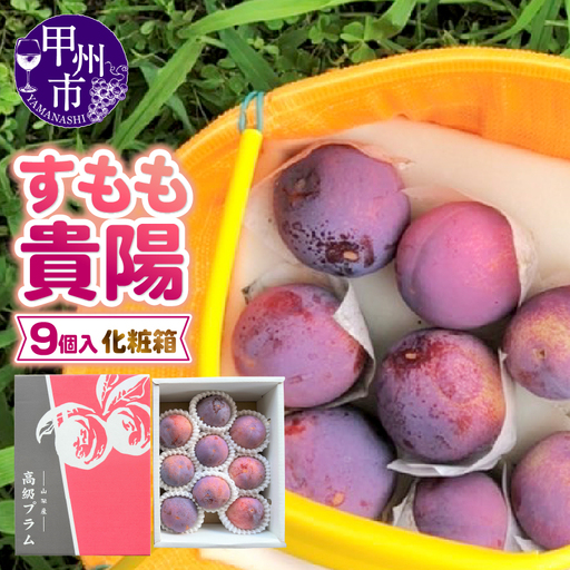 童夢のすもも「貴陽」化粧箱(9玉入り)約1.35kg〜約1.7kg[2026年発送](DOM)B-143 すもも フルーツ