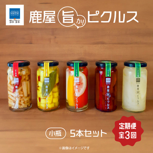 2184-2  【全3回定期便】鹿屋旨か！ ピクルス 小瓶 5本 セット KN072-T01 野菜 加工食品