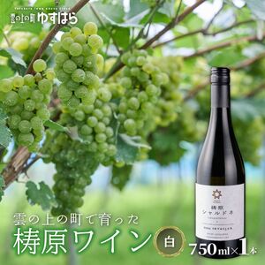 梼原 シャルドネ