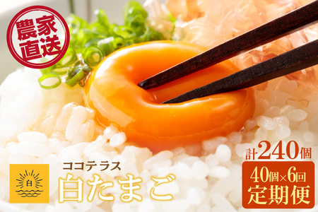 【6ヵ月定期便】ココテラスの朝日（白たまご）35個 + 5個保証（計40個）【JGAP認証】 農家直送 新鮮 卵 タマゴ 白卵 玉子 鶏卵 朝食 夕食 夜食 朝ごはん たまご焼き だし巻き卵 オムレツ 卵ご飯 料理 濃厚 飼料にこだわった 卵かけご飯 米たまご 生卵 大容量 お取り寄せ 愛知県 常滑市