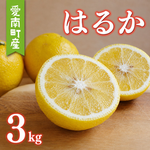 【先行予約：2027年1月上旬～発送】 訳あり はるか 3kg 7000円 みかん mikan 蜜柑 ミカン 国産 産地直送 農家直送 期間限定 特産品 ゼリー ジュース アイス 等に わけあり 人気 限定 フルーツ 果物 柑橘 甘い おいしい ジューシー お取り寄せ サイズ ミックス あいなんマザーズ 愛南町 愛媛県