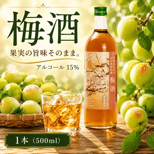 【 特選 】 梅酒 アルコール 15％（ 500ml × 1本 ）【梅酒】