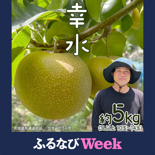 【ふるなびWEEK対象】【2026年8月中旬から発送開始】《先行予約》 幸水 梨 約 5kg 10玉～14玉 茨城県共通返礼品 ／ かすみがうら市 なし 鈴木農園 産地直送 フルーツ 甘い 直送 茨城 限定 [ED003sa]
