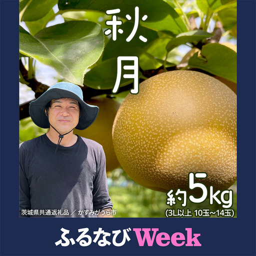 [ふるなびWEEK対象][2026年9月中旬発送開始] [先行予約]秋月 梨 約 5kg 10玉〜14玉 茨城県共通返礼品 / かすみがうら市 なし 鈴木農園 産地直送 フルーツ 甘い 直送 茨城 限定 [ED004sa]