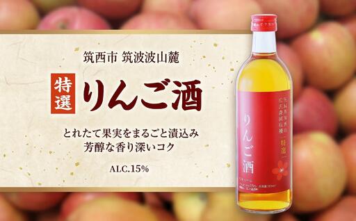 【 特選 】 りんご酒 アルコール 15％ （ 500ml × 1本 ）
