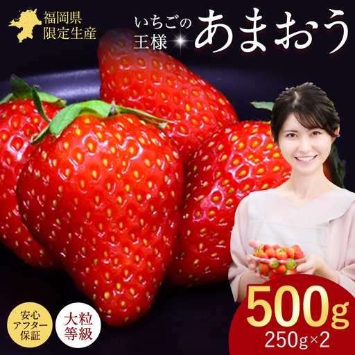 あまおう いちご 500g [配送不可地域:離島]