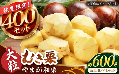 先行予約 やまが和栗 大粒むき栗 約600g(約150g×4pc)古川農園 くり 栗