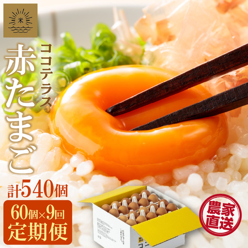 【9ヵ月定期便】ココテラスの明日（赤たまご）55個 + 5個保証（計60個）【JGAP認証】 農家直送 新鮮 卵 タマゴ 赤卵 玉子 鶏卵 朝食 夕食 夜食 朝ごはん たまご焼き オムレツ 卵ご飯 料理 濃厚 飼料にこだわった 卵かけご飯 米たまご 生卵 大容量 お取り寄せ 愛知県 常滑市