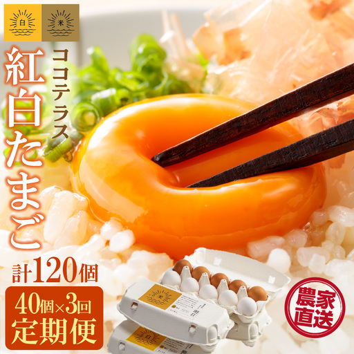 【3ヵ月定期便】ココテラスの紅白たまご　35個 + 5個保証（計40個）【JGAP認証】 農家直送 新鮮 卵 タマゴ 赤卵 白卵 玉子 鶏卵 朝食 夕食 夜食 朝ごはん たまご焼き だし巻き卵 オムレツ 卵ご飯 料理 濃厚 飼料にこだわった 卵かけご飯 米たまご 生卵 大容量 お取り寄せ 愛知県 常滑市