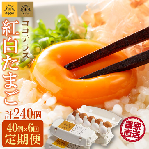 【6ヵ月定期便】ココテラスの紅白たまご　35個 + 5個保証（計40個）【JGAP認証】 農家直送 新鮮 卵 タマゴ 赤卵 白卵 玉子 鶏卵 朝食 夕食 夜食 朝ごはん たまご焼き だし巻き卵 オムレツ 卵ご飯 料理 濃厚 飼料にこだわった 卵かけご飯 米たまご 生卵 大容量 お取り寄せ 愛知県 常滑市