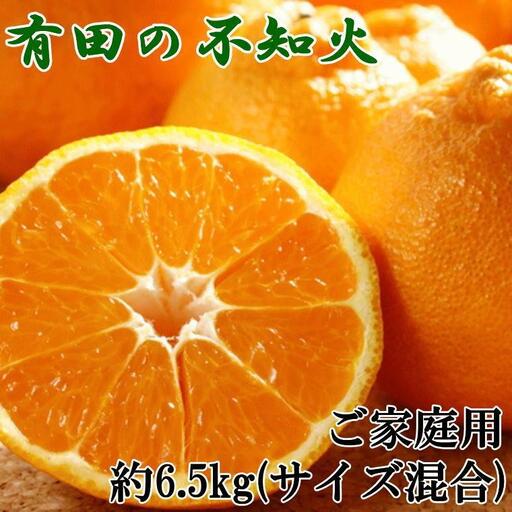 有田の不知火 約6.5kg サイズ混合［ 濃厚 ご家庭用向け ］★2027年2月中旬頃より順次発送