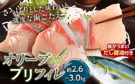 超新鮮・オリーブブリフィレ約2.6～3.0kg 魚がうまいだし醤油付き （10月下旬～12月中旬頃発送） ぶり 鰤 おかず おつまみ 肴 ご当地 食品 名産 四国 【沖縄配送不可】 F5J-1192