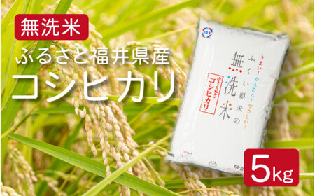 [051-a003] 無洗米 コシヒカリ 5kg