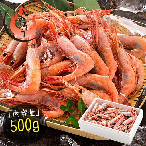 福井県敦賀産 甘えび・子持ち中サイズ約500g(約40尾)　[053-a026]