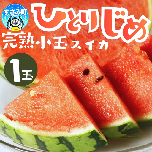 すいか 和歌山の小玉すいか「ひとりじめ」約1.8kg 1玉 ※2027年5月下旬頃?6月下旬頃に順次発送予定【uot778B】