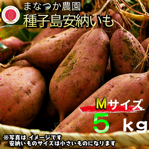 [ 新物 ]種子島 まなつか農園 安納いも ( 生いも ) M サイズ 5kg NFN001[300pt]