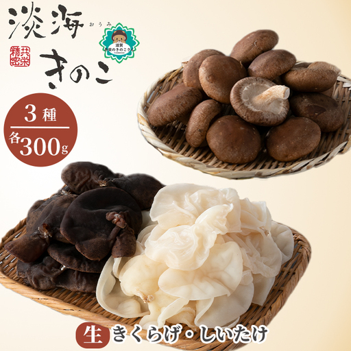 【D-709】共栄精密　淡海きのこ　生きのこセット 生きくらげ・生しいたけ（よかもんパッケージ入り）［高島屋選定品］