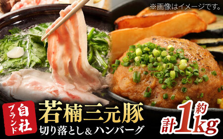 佐賀県産 若楠三元豚 切り落とし ハンバーグセット 約1kg / 佐賀県 / 株式会社ナチュラルフーズ [41AFAB001]