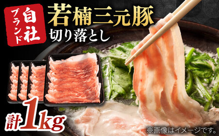 佐賀県産 若楠三元豚 切り落とし 計1kg(250g×4パック) / 佐賀県 / 株式会社ナチュラルフーズ 