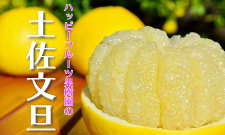 ハッピーフルーツ果樹園 土佐文旦 5kg 家庭用 文旦