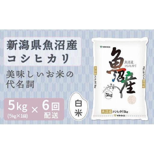 【定期便全6回】新潟県魚沼産コシヒカリ5kg（受注の翌月から毎月配送）