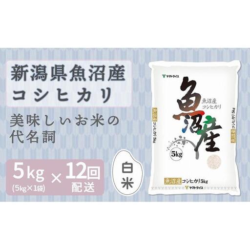 【定期便全12回】新潟県魚沼産コシヒカリ5kg（受注の翌月から毎月配送）