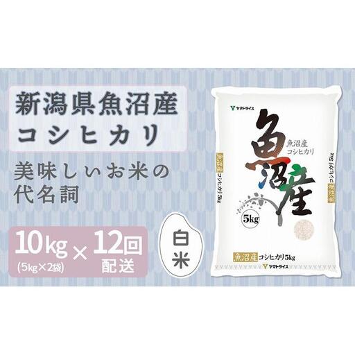 【定期便全12回】新潟県魚沼産コシヒカリ10kg（受注の翌月から毎月配送）
