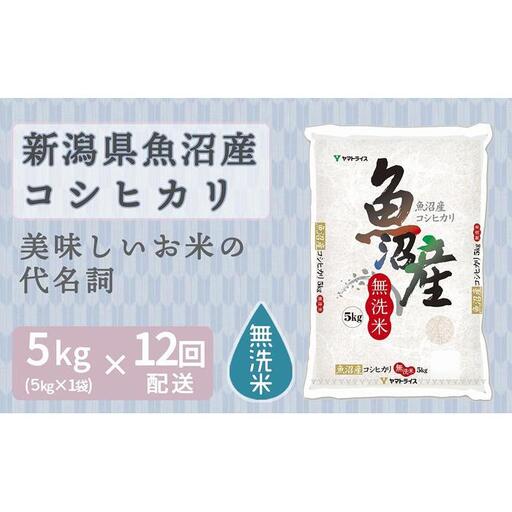 【定期便全12回】無洗米新潟県魚沼産コシヒカリ5kg（受注の翌月から毎月配送）