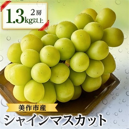 岡山県美作市産　シャインマスカット2房　1.3kg以上_果物・フルーツ ぶどう・マスカット  ブドウ 葡萄 _【配送不可地域：離島・北海道・沖縄県】【1147829】