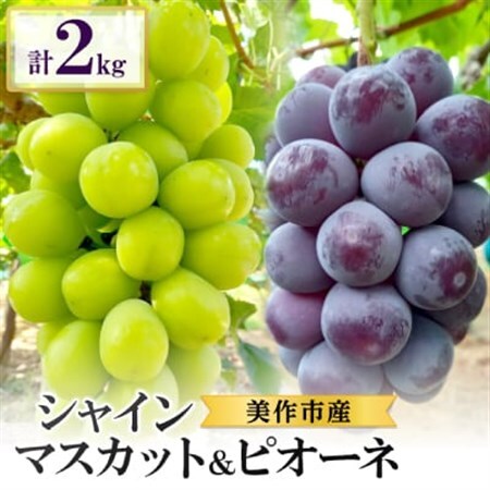 岡山県美作市産　シャインマスカット1～2房＆ピオーネ2房のセット　合計2kg_果物・フルーツ ぶどう・マスカット  ブドウ 葡萄 _【配送不可地域：離島・北海道・沖縄県】【1398701】