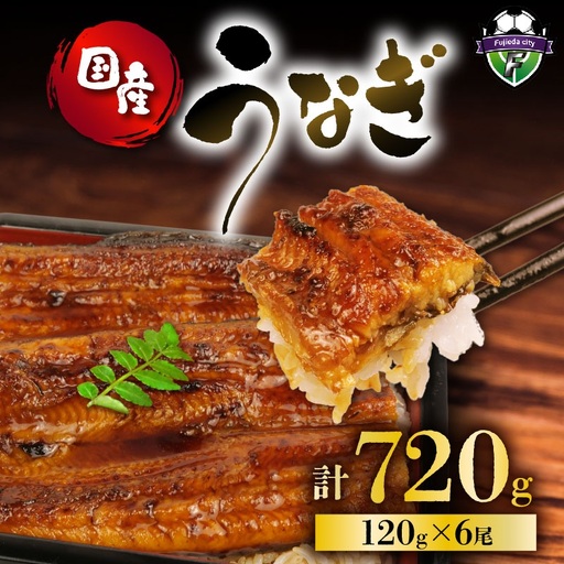 国産 120g 蒲焼 うなぎ 6尾 鰻 鰻