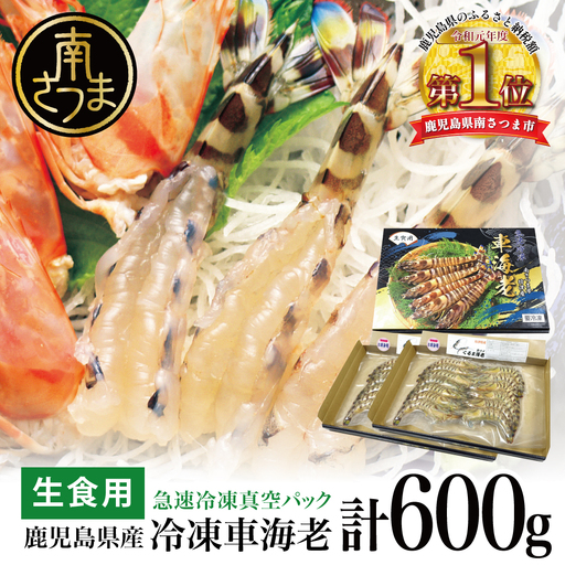 【鹿児島県産】活〆 冷凍車海老 600g（生食用） えび 海鮮 冷凍 博多浦マリンファーム