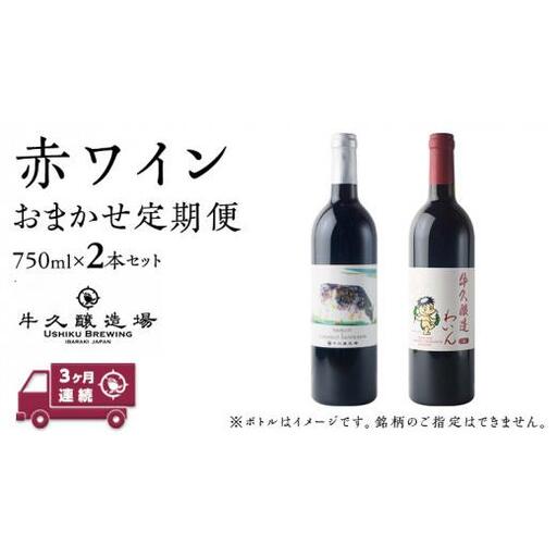 【 3ヶ月連続 】 赤ワイン おまかせ 定期便 2本セット 飲み比べ 茨城県産 牛久醸造場 厳選 750ml × 2本