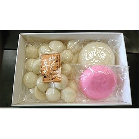 正月用お鏡餅5合紅白　丸もち1Kg_ 餅 穀物加工品 もち モチ_【1056042】