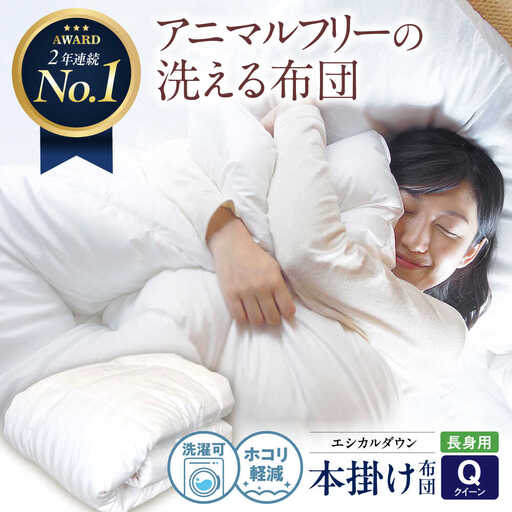 洗える 人工羽毛 掛け布団 長身用クイーン [BAAK008]掛け布団